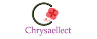 Chrysaellect Play School