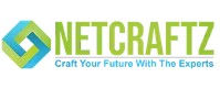Netcraftz